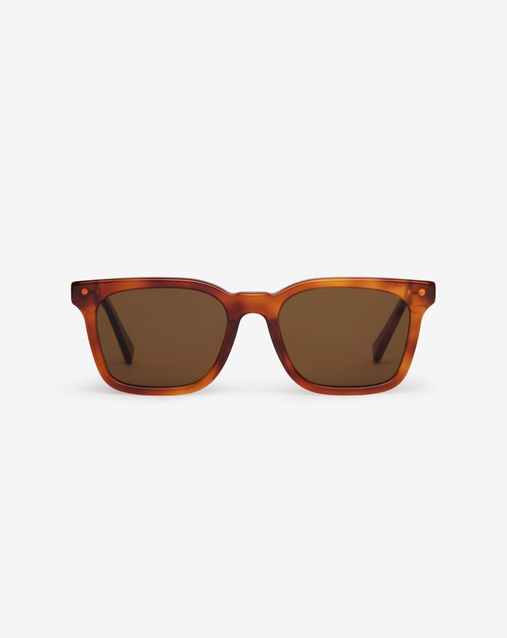 SEACLIFF SUNGLASSES 1